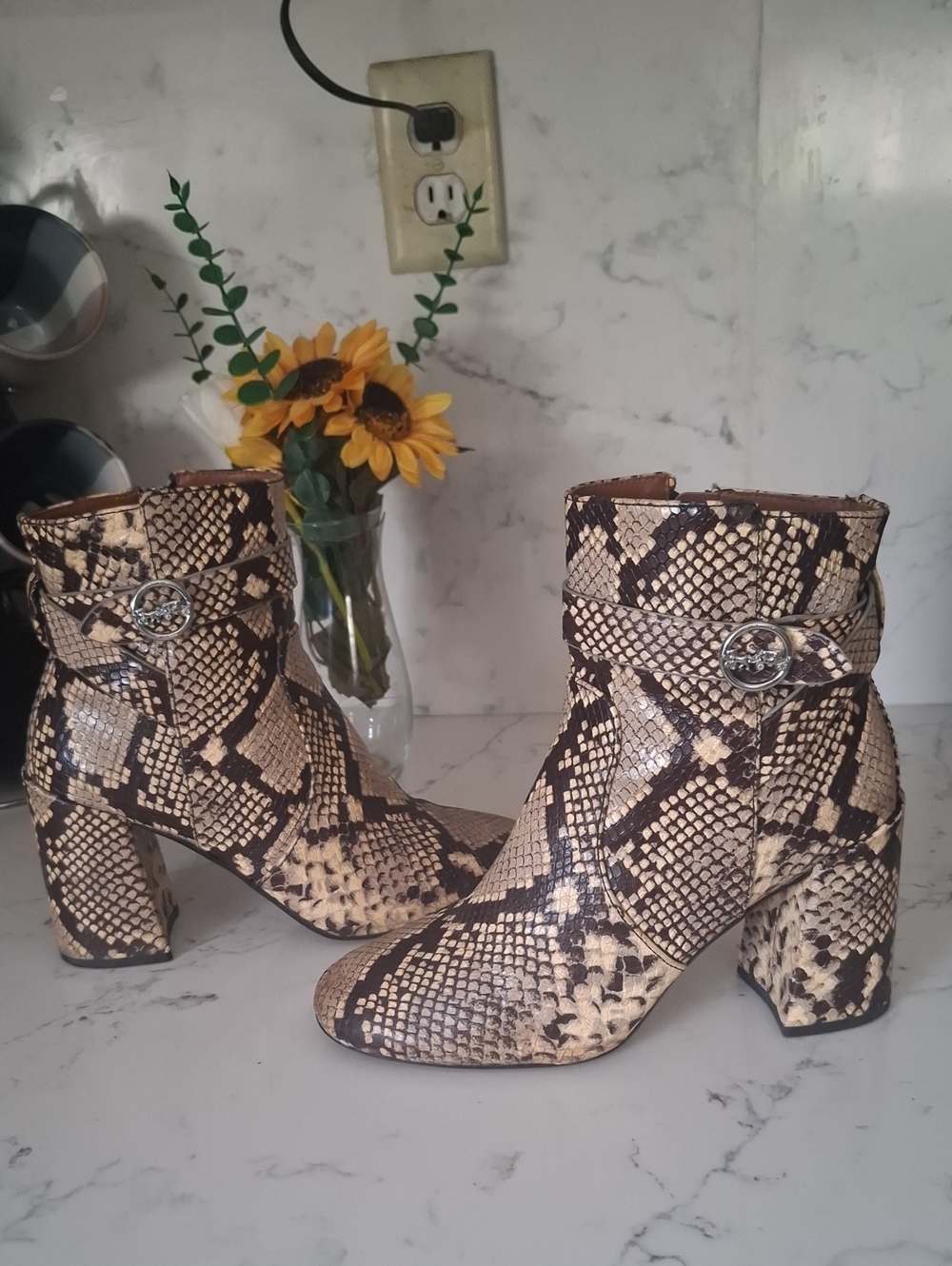 COACH Snake-Print Ankle Boots with Buckle Detail - Beige/Black